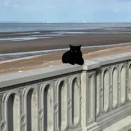 Au Grand Palmier T2 * Cabourg